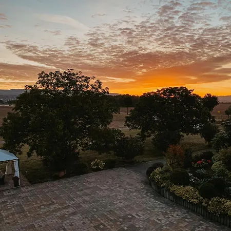 게스트하우스 Weingut U. Gaestehaus Vogt-fehlinger 3*