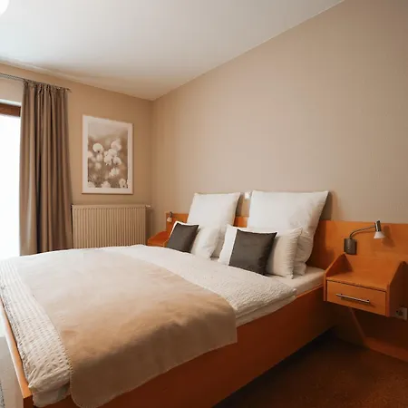 Weingut U. Gaestehaus Vogt-fehlinger 3* Biebelsheim