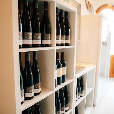 Weingut U. Gaestehaus Vogt-fehlinger Biebelsheim