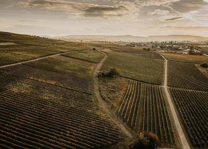 Weingut U. Vogt-fehlinger Gasthof 3*